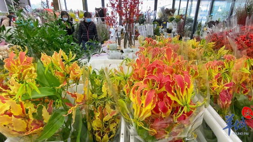 年花市場紅紅火火 本地品種與網紅產品引領新風尚，辦公用品煥發新春氣息